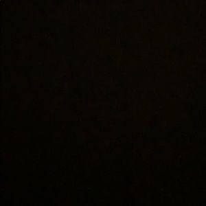 Meet your Posher, Chessie